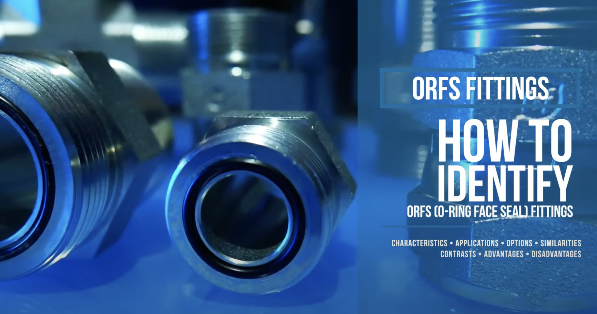 ORFS Fittings